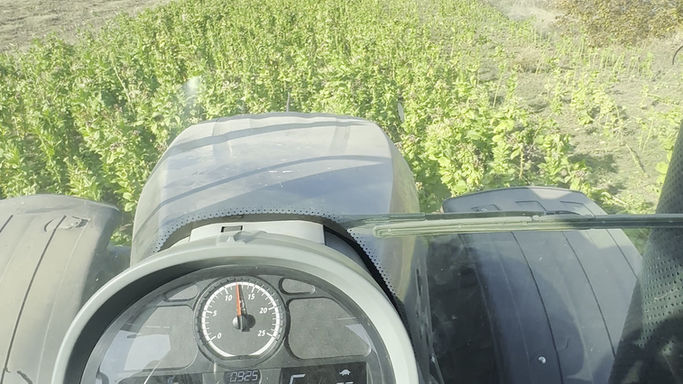 Кампания 2024 | Supernova MG в действие